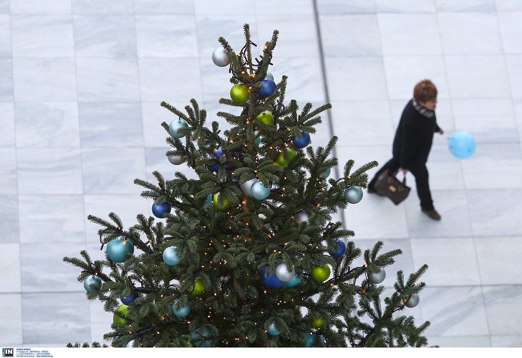 Δένδρα από τη Δανία στόλισαν τα Χριστούγεννα οι Έλληνες