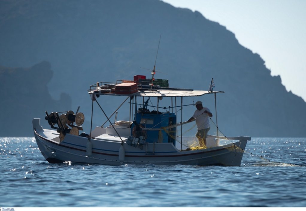 Γαλλία:Eιδική συσκευή που θα κρατάει μακριά από τα δίχτυα τα δελφίνια στις μηχανότρατες