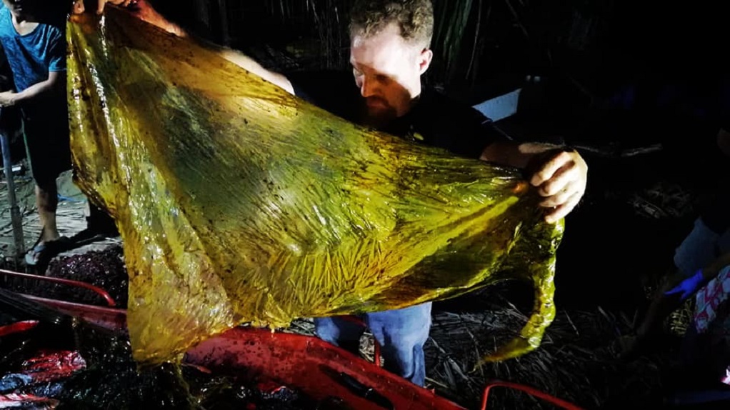 Περισσότερα από 40 κιλά πλαστικής σακούλας στο στομάχι νεκρής φάλαινας(ΦΩΤΟ)