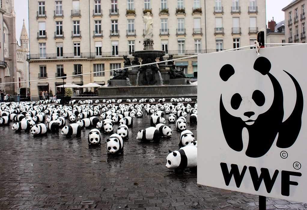 Κλιματική κρίση: Κοινή πρόταση νόμου από WWF και ακόμη 12 φορείς
