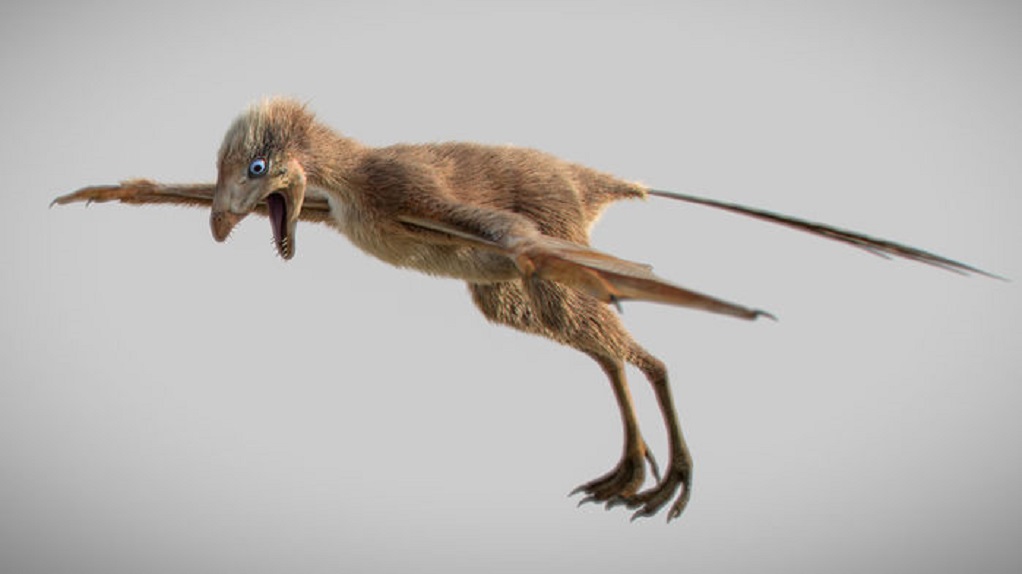 Ανακαλύφθηκε δεινόσαυρος με φτερά νυχτερίδας