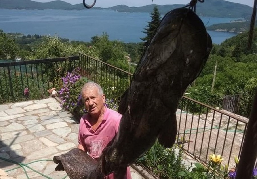 Έπιασε γουλιανό 70 κιλών στη λίμνη Πλαστήρα (ΦΩΤΟ)