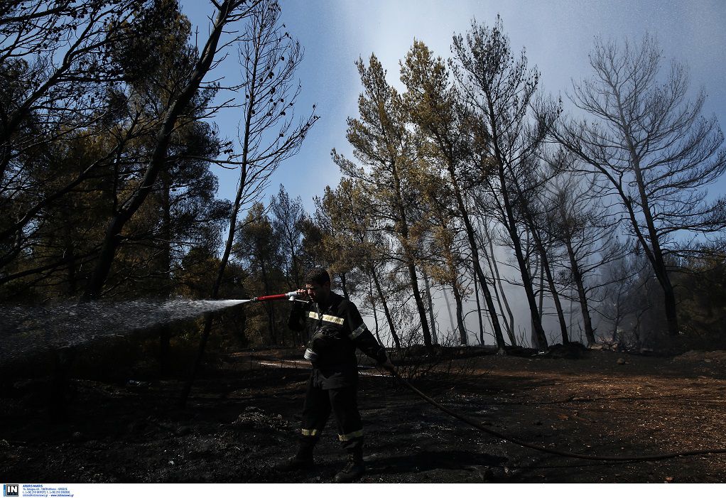 Υπό μερικό έλεγχο πυρκαγιά στο δήμο Παιονίας Κιλκίς