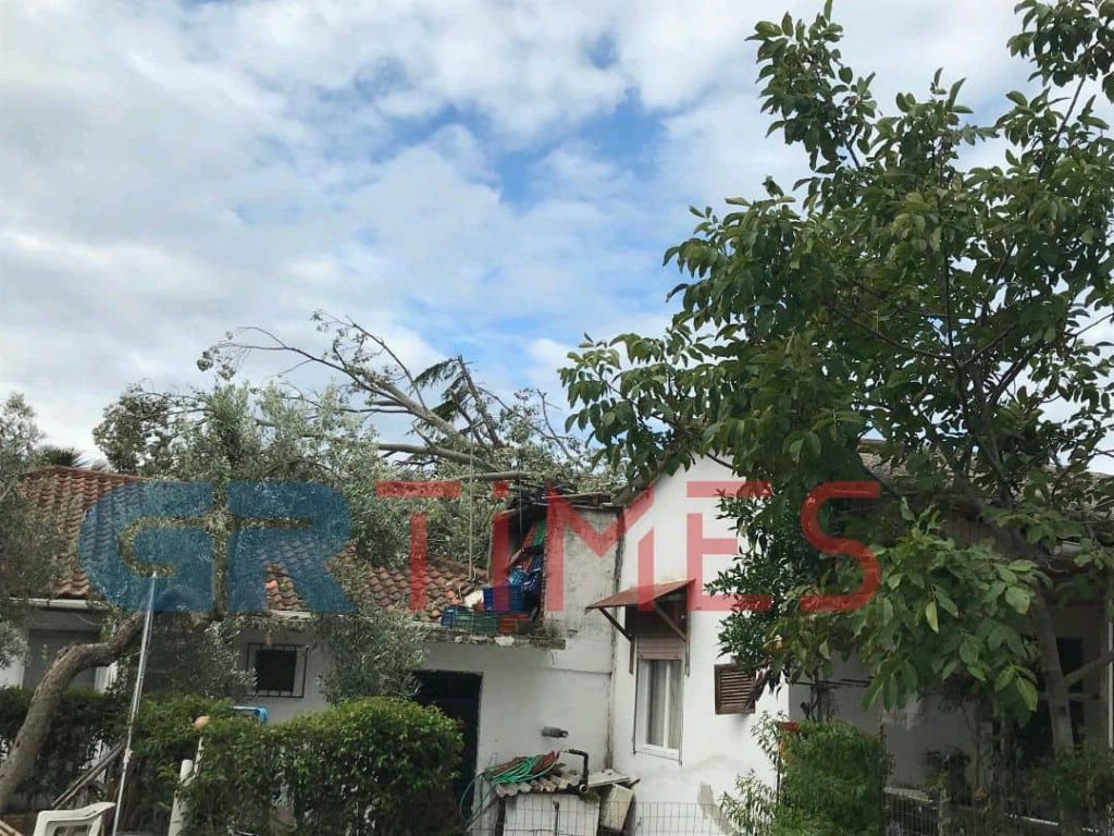 Το GrTimes στην Χαλκιδική: Λεύκα καταπλάκωσε το σπίτι της (ΦΩΤΟ)