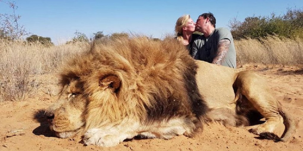 Σάλος: Ζευγάρι σκότωσε λιοντάρι και μετά φιλήθηκε όλο καμάρι (ΦΩΤΟ)