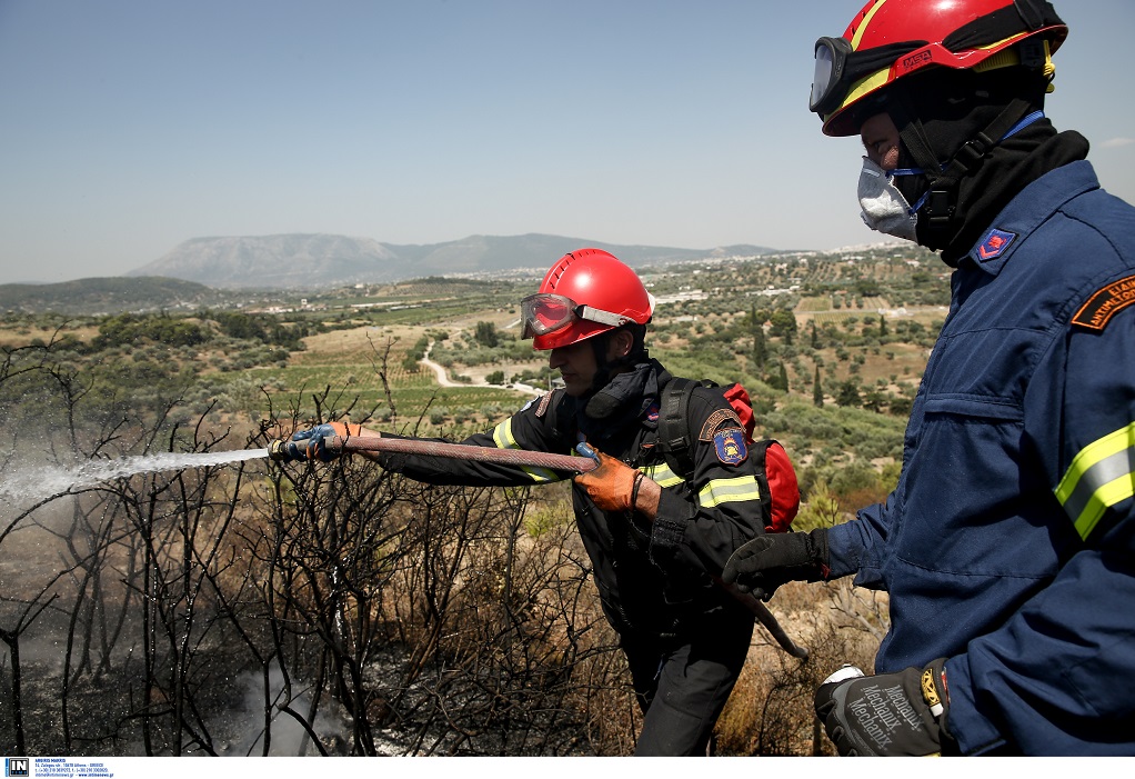 Φωτιά στον Μαραθώνα-Μεγάλη κινητοποίηση της Πυροσβεστικής