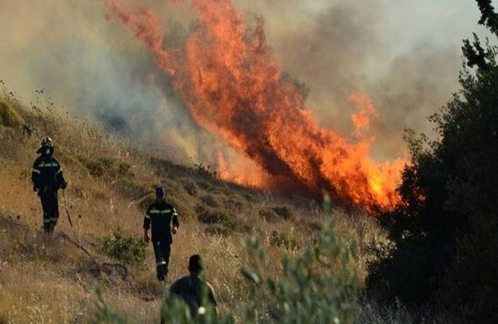 Φωτιά στην Καλλικράτεια Χαλκιδικής