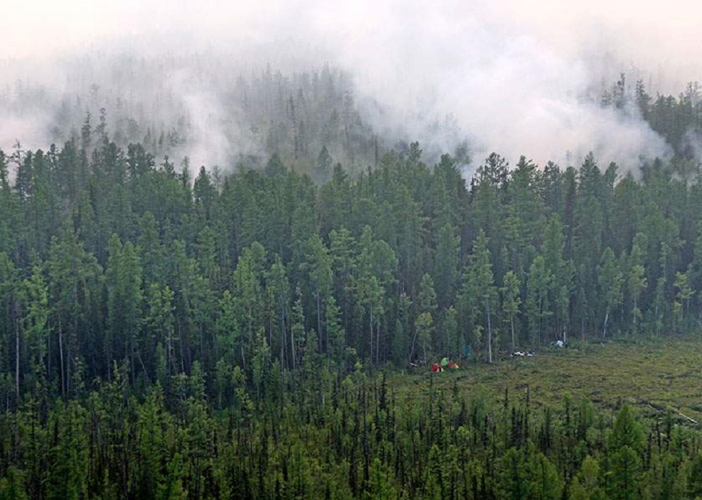 Σιβηρία: Μαίνονται οι πυρκαγιές σε έκταση 28 εκατ. στρεμμάτων