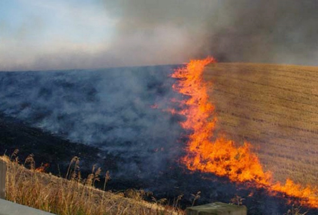 Δήμος Δέλτα: Απαγόρευση της καύσης των γεωργικών υπολειμμάτων και ποινές για τους παραβάτες