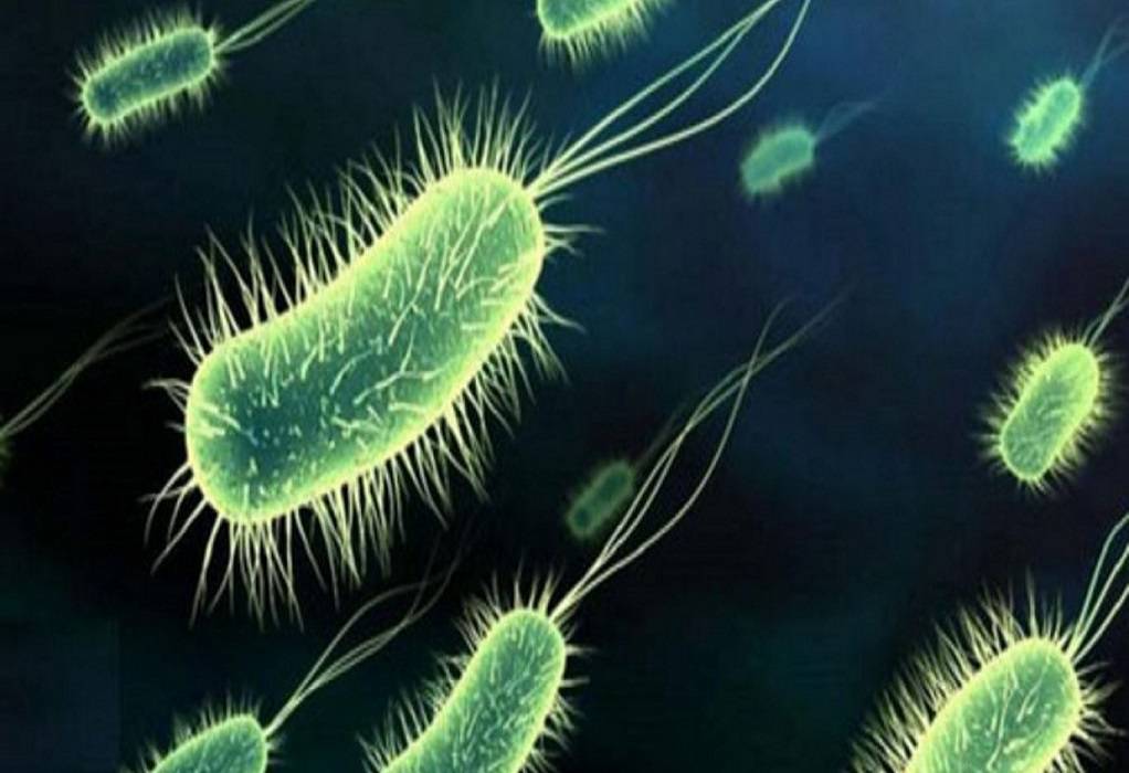 Επιστήμη: Υποθαλάσσια μικρόβια παράγουν οξυγόνο χωρίς φωτοσύνθεση