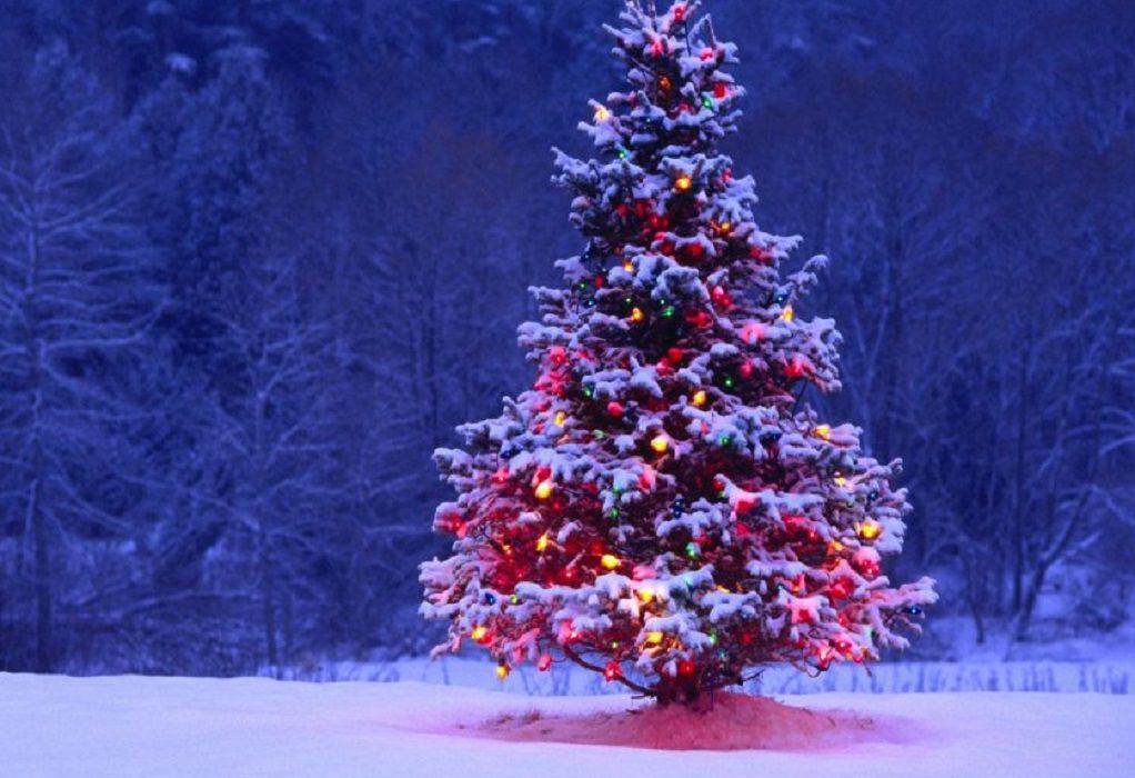 Σιβηρία: Ένα χριστουγεννιάτικο δέντρο… σκέτο σκάνδαλο