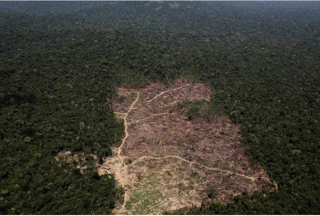 2022: Ο πλανήτης έχανε μια επιφάνεια τροπικού δάσους ίση με ένα γήπεδο ποδοσφαίρου κάθε 5 δευτερόλεπτα