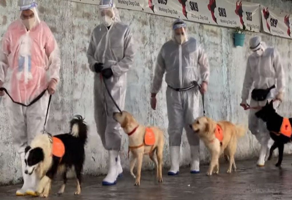 Εκπαιδεύουν σκύλους να ανιχνεύουν τον κορωνοϊό (VIDEO)