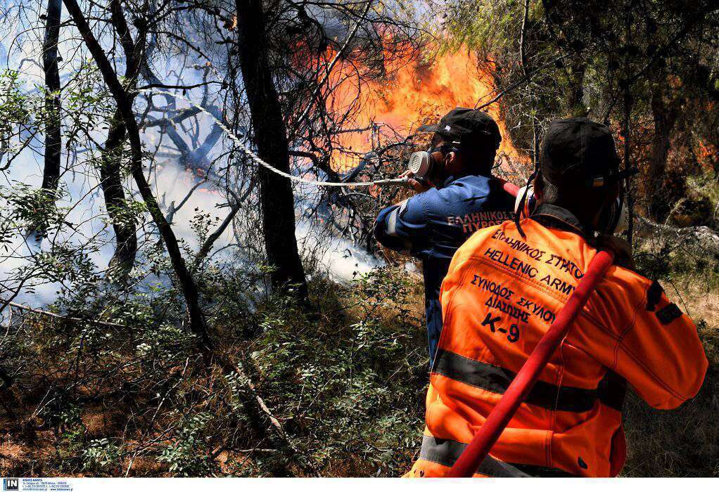 Θεσσαλονίκη: Σε εξέλιξη πυρκαγιά στο Ωραιόκαστρο