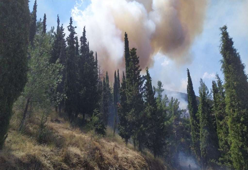 Πυρκαγιές: Τα τελευταία 20 χρόνια διπλασιάστηκε η επιφάνεια των δασών που καταστρέφονται