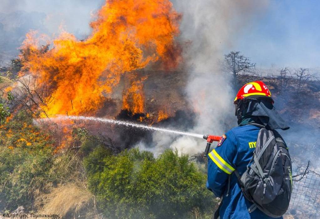 Πυροσβεστική: Σε επιφυλακή λόγω αυξημένου κινδύνου πυρκαγιάς-Περιπολίες και απαγόρευση εισόδου σε δάση