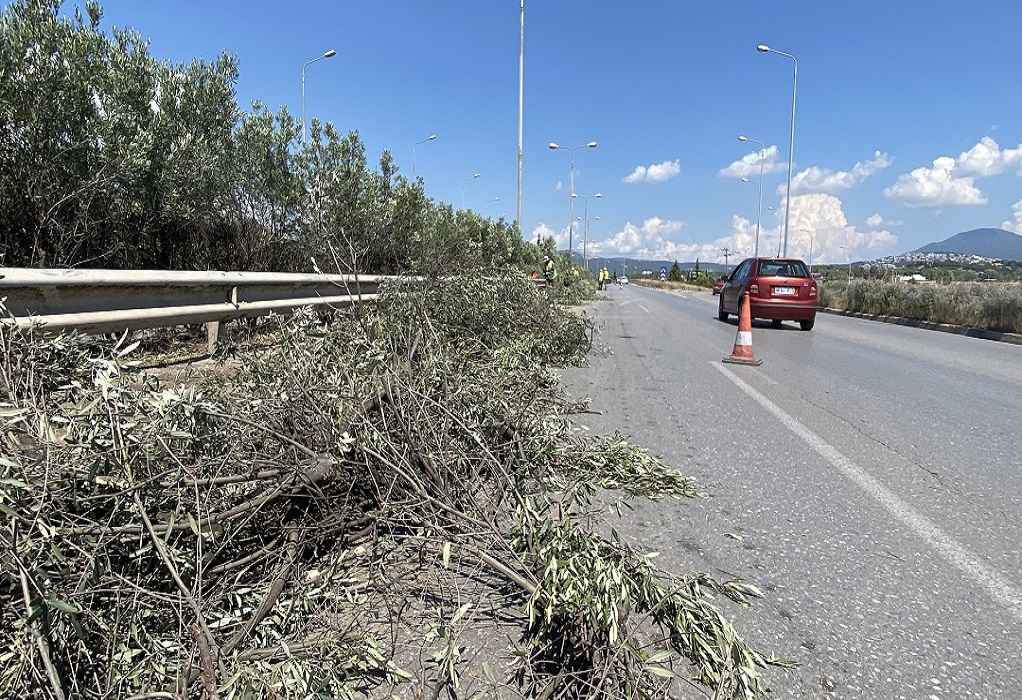 Θεσσαλονίκη: Συνεχίζονται και σήμερα οι εργασίες κοπής πρασίνου στην Περιφερειακή Οδό