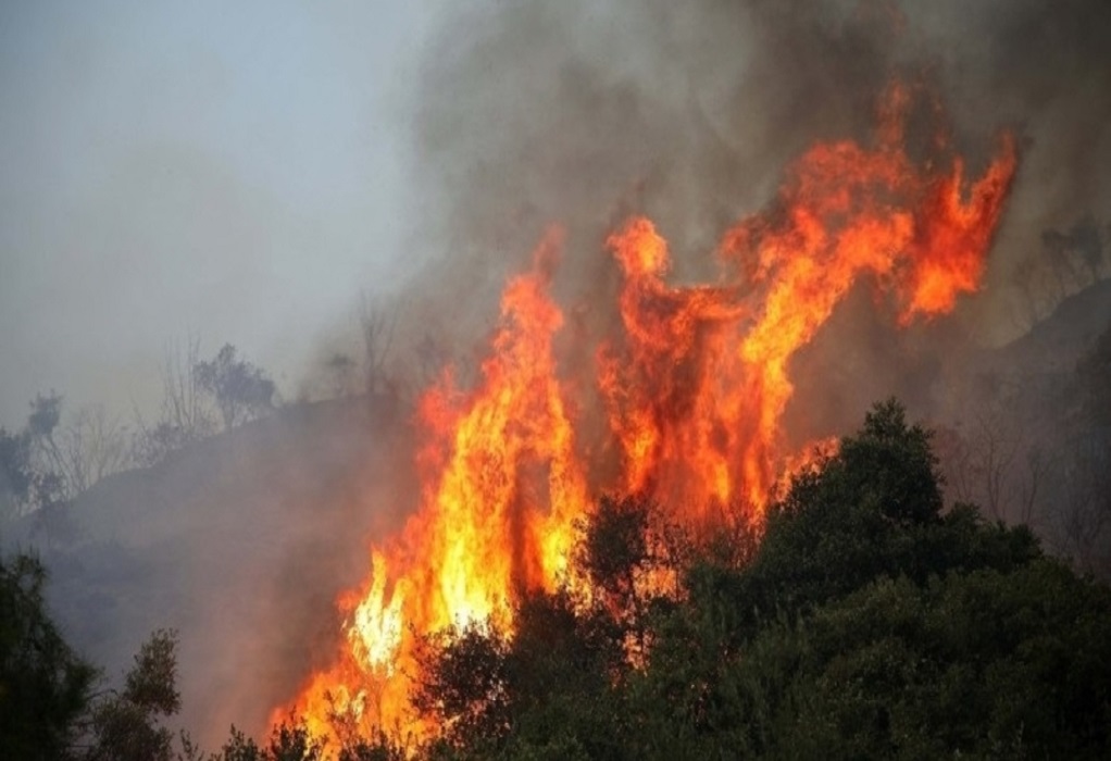 Σαλαμίνα: Φωτιά στον Άγιο Νικόλαο κοντά σε κατοικημένη περιοχή