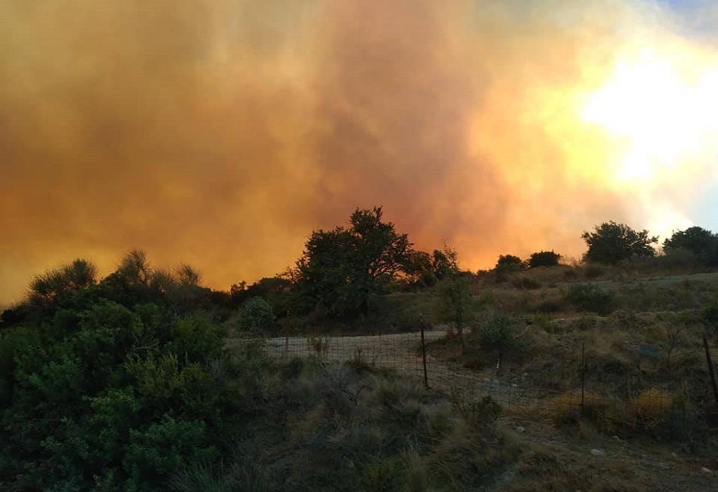 Σουφλί: Δασική πυρκαγιά στην Κοτρωνιά