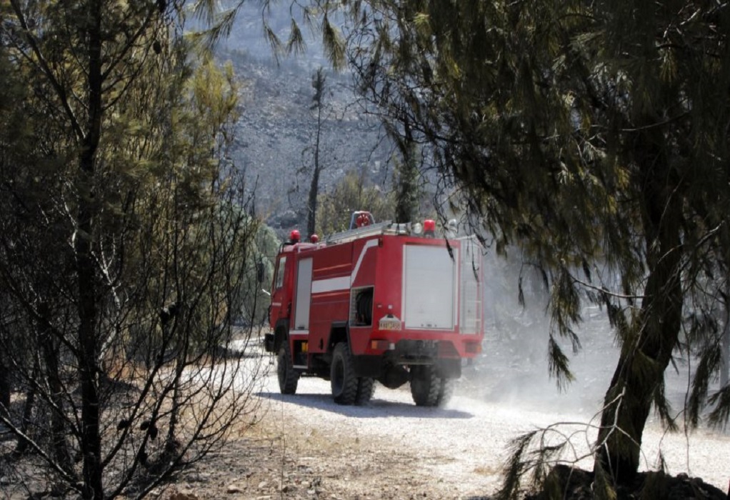 Υπό μερικό έλεγχο η πυρκαγιά στο Άλσος Βεΐκου στο Γαλάτσι