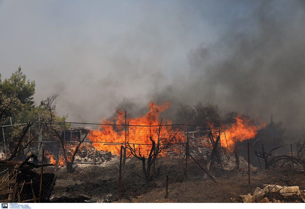 Η μαρτυρία της ηρωίδας που έδωσε μάχη με τις φλόγες στην Ανάβυσσο (VIDEO)
