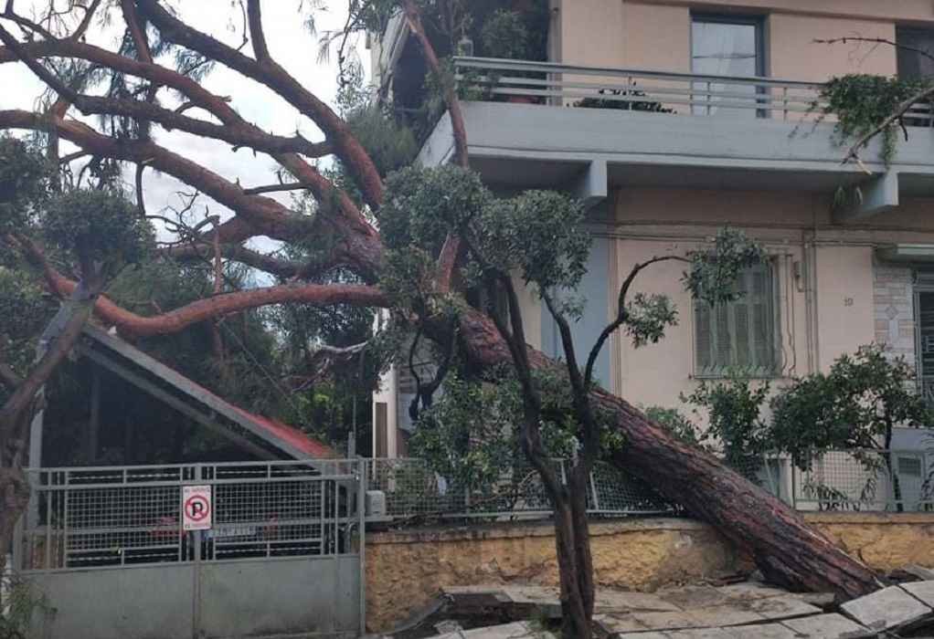 Καταστροφές και πτώσεις δένδρων στο Νέο Ηράκλειο (ΦΩΤΟ)