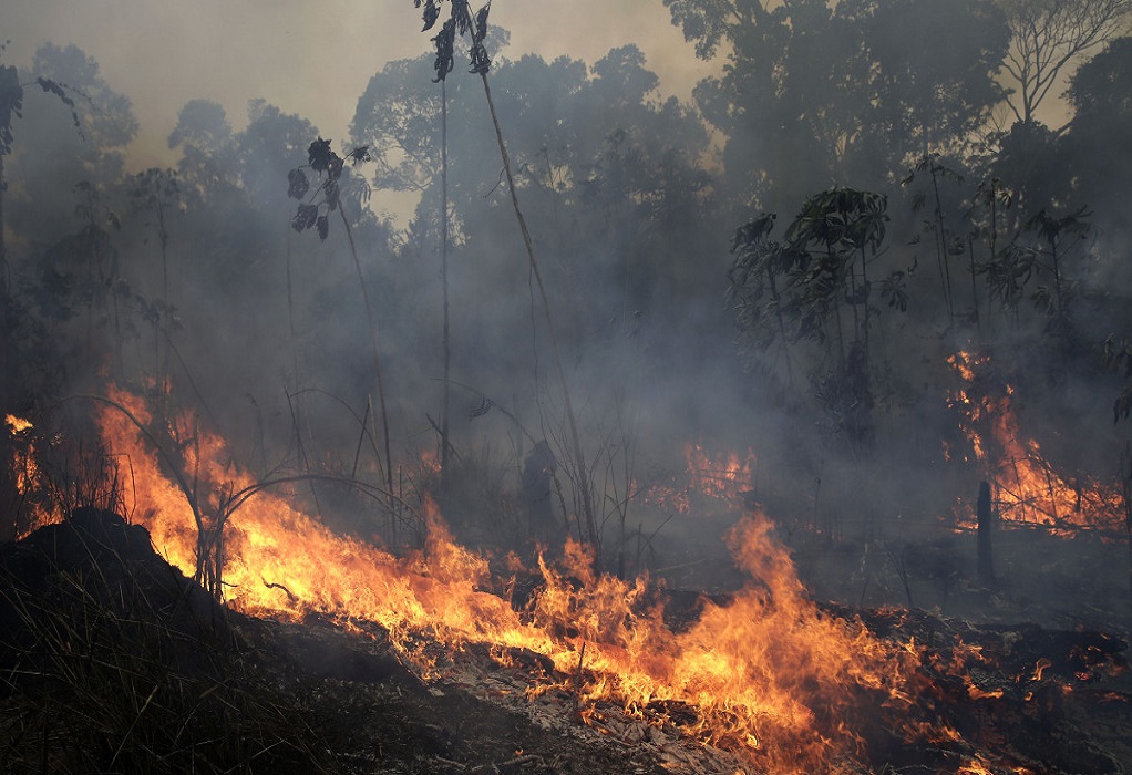 Αποψίλωση ρεκόρ του δάσους του Αμαζονίου- Καταστράφηκαν 5.474 στρέμματα μέσα σε επτά μήνες