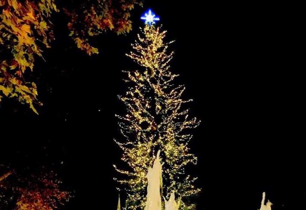 Δ.Τρικκαίων: Διαδικτυακά η φωταγώγηση του υψηλότερου χριστουγεννιάτικου δέντρου