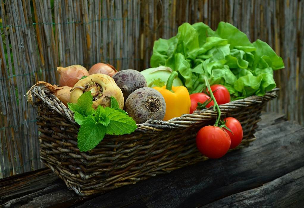 Γαλλία: 31 τόνοι σπόροι λαχανικών στην Ουκρανία για την αντιμετώπιση επισιτιστικής κρίσης