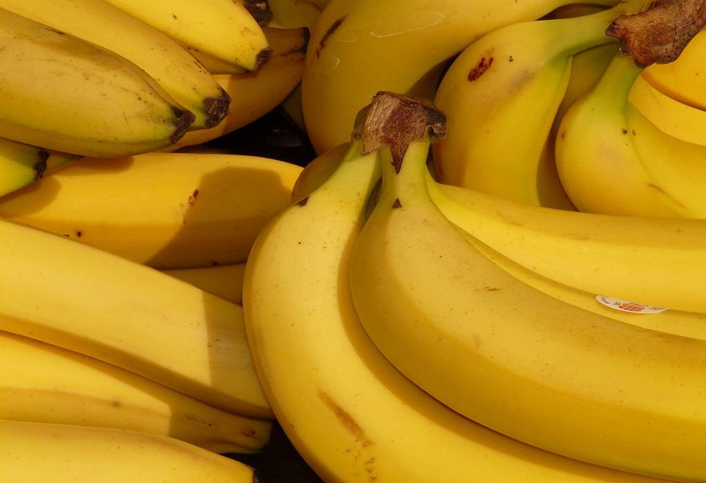 Ισημερινός: Κατάσχεσαν 3,2 τόνους κοκαΐνης – Ήταν κρυμμένη σε κοντέινερ με μπανάνες