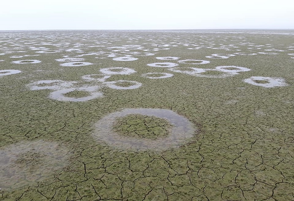 Μυστήριο στη λίμνη Κερκίνη: Εκατοντάδες τέλειοι κύκλοι στον πυθμένα (VIDEO)