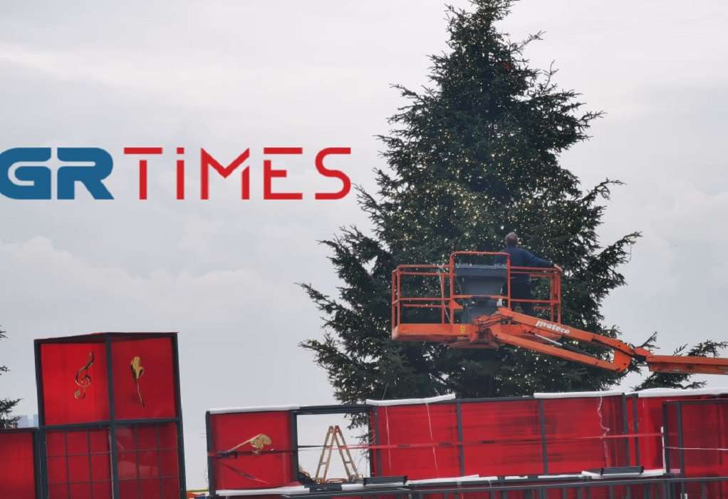 Θεσσαλονίκη: Στολίζονται τα Χριστουγεννιάτικα δέντρα στην Αριστοτέλους (ΦΩΤΟ+VIDEO)