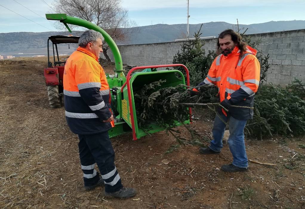 Δ. Θεσσαλονίκης: Ανακύκλωση χριστουγεννιάτικων δέντρων