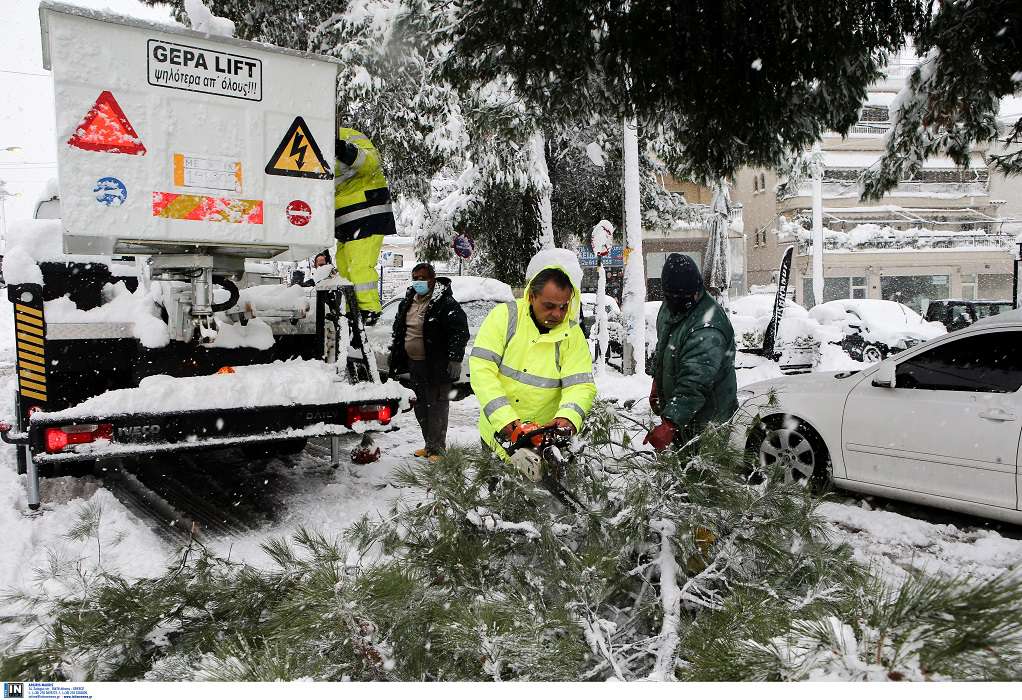 Κακοκαιρία: Έπεσαν περισσότερα από 20 δέντρα στον δήμο Πεντέλης