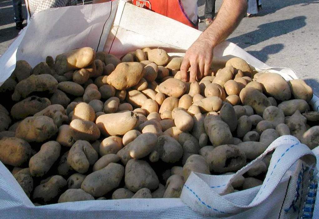 Άνω Βροντού: Το “χρηματιστήριο” της πατάτας- αδιάθετοι χιλιάδες τόνοι
