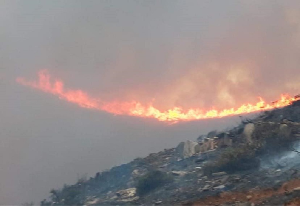 Πυρκαγιά στην Άνδρο: Εκκενώθηκαν προληπτικά 2 χωριά (ΦΩΤΟ-VIDEO)
