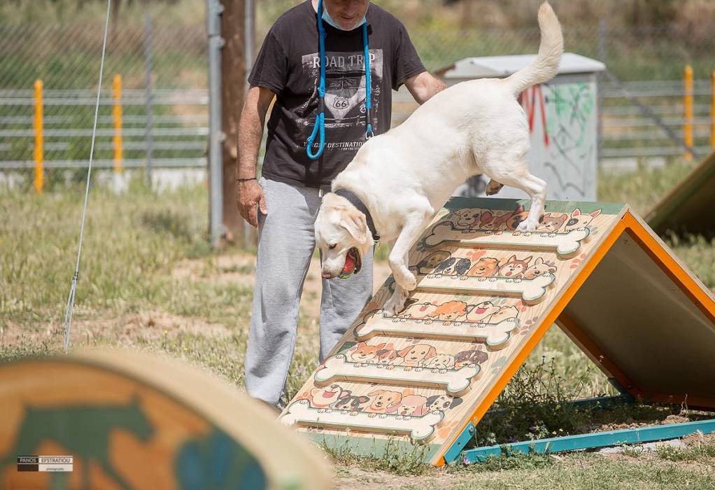 Δ. Πυλαίας – Χορτιάτη: Στο Ελαιόρεμα το πρώτο πάρκο σκύλων (ΦΩΤΟ)