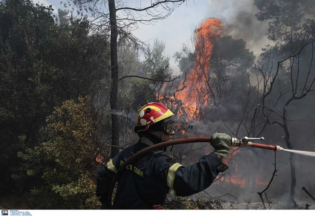 Φωτιά στον Σχίνο Κορινθίας: Προς Μέγαρα το πύρινο μέτωπο – Εκκενώνονται οικισμοί