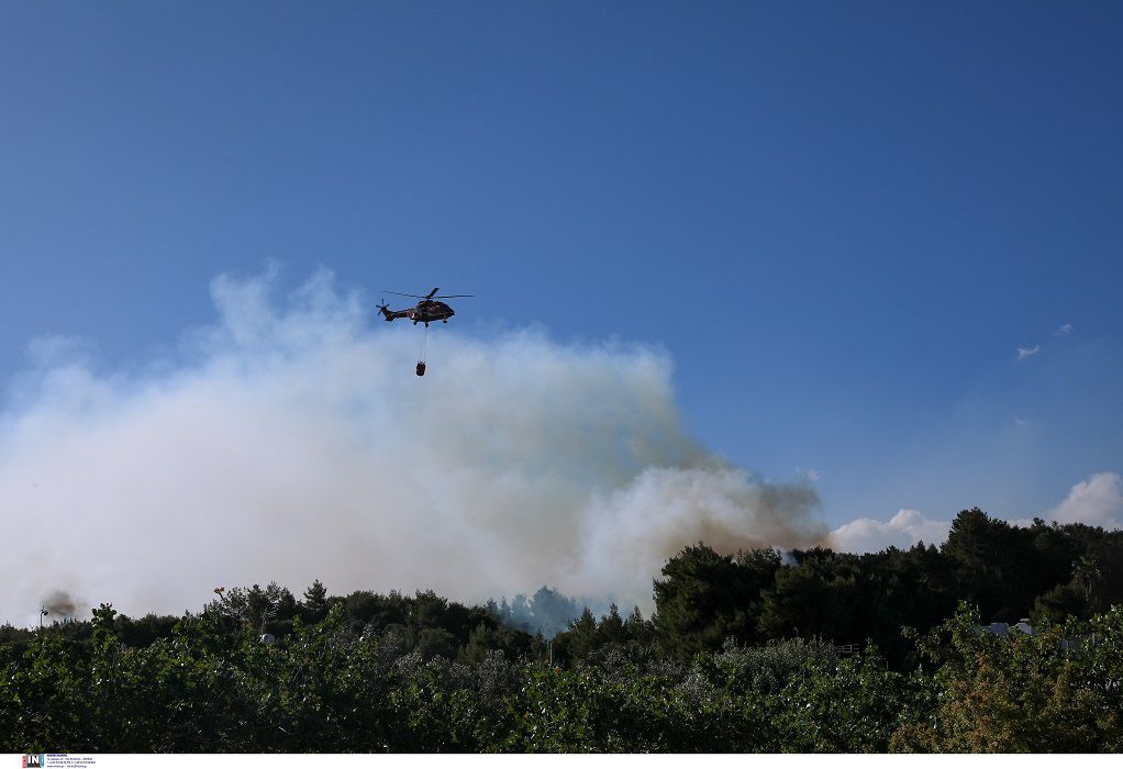 Φωτιά στην Κορινθία – Χαρδαλιάς: Έχουν καεί πάνω από 40.000 στρέμματα