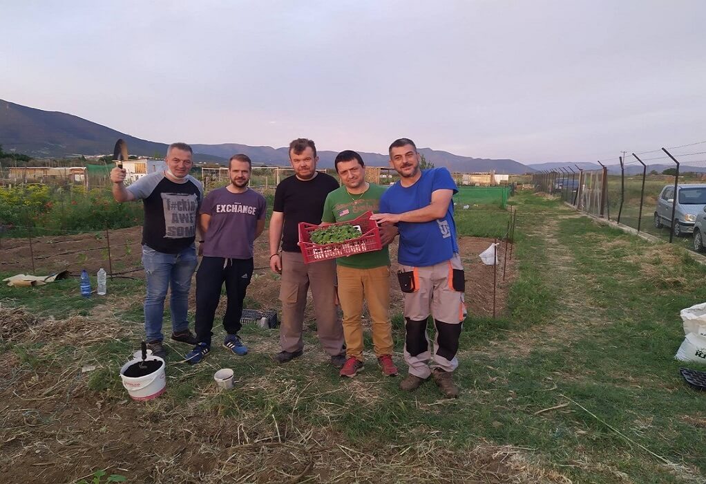 ΟΑΘ – Ομάδα “Σποροφύλακες”: Στόχος μας να γεμίσουν τα μπαλκόνια με λαχανικά