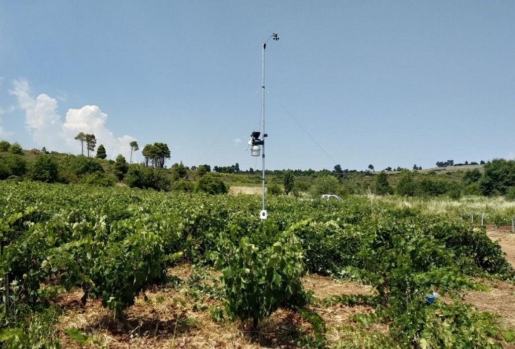Μετεωρολογικοί σταθμοί: Ένα απαραίτητο εργαλείο για τον σύγχρονο αγρότη