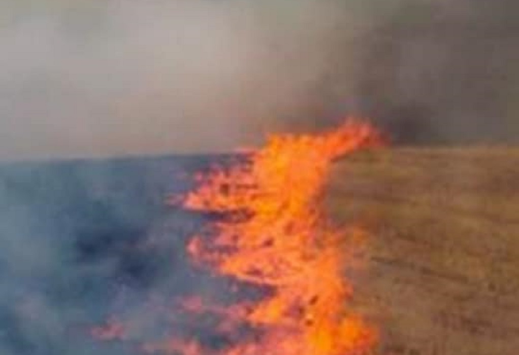 Θεσσαλονίκη: Φωτιά ξέσπασε σε ξηρά χόρτα στα Λαγυνά