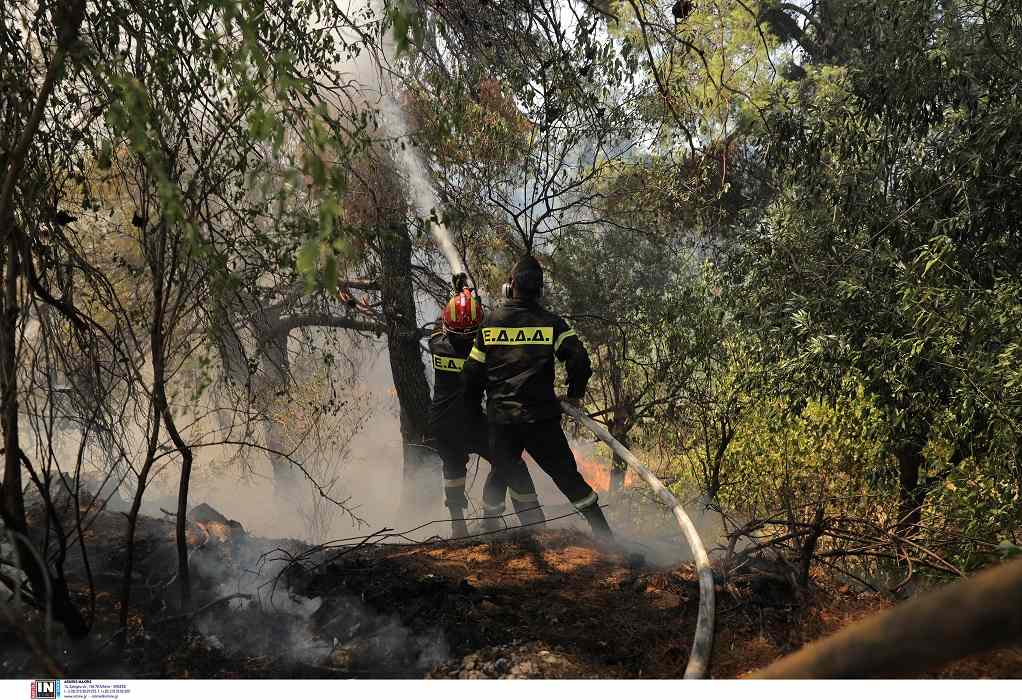 Φωτιά στη Σταμάτα: Έκτακτες ανακοινώσεις από τον δήμο Διονύσου