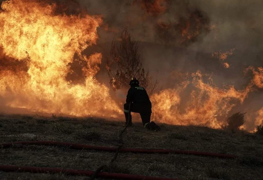 Αττική: Πυρκαγιά σε δασική έκταση στο Κορωπί 