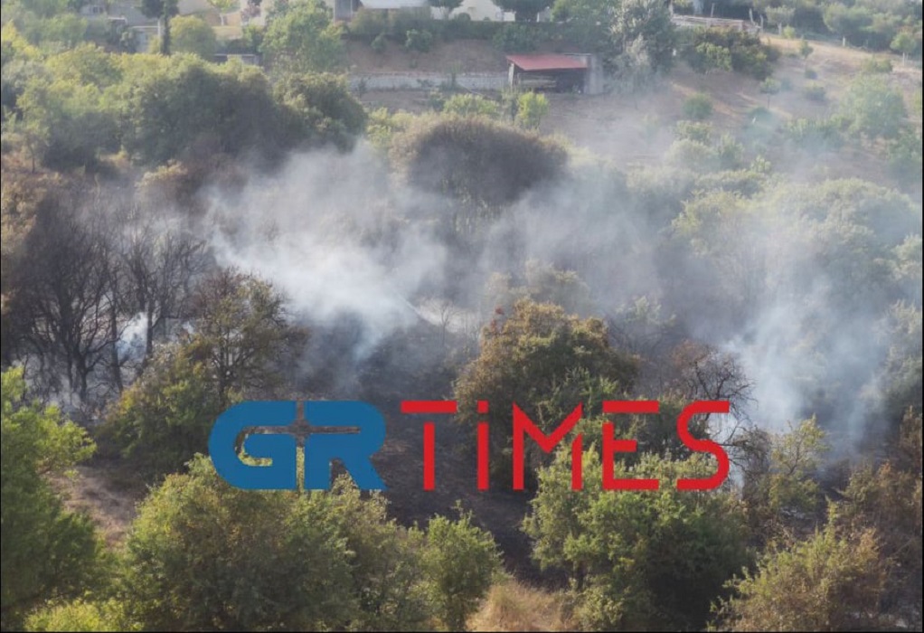 Θεσσαλονίκη: Τέθηκε άμεσα υπό έλεγχο επικίνδυνη πυρκαγια στο Φίλυρο (VIDEO-ΦΩΤΟ)