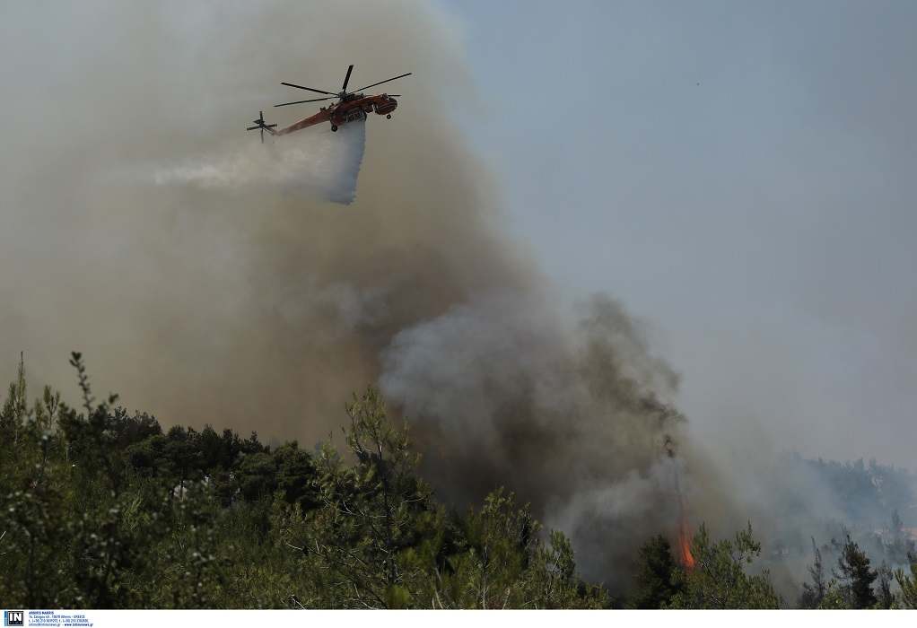 Χ. Στυλιανίδης: Περισσότερα εναέρια μέσα φέτος στις πυρκαγιές-Στη μάχη 500 «δασοκομάντος»