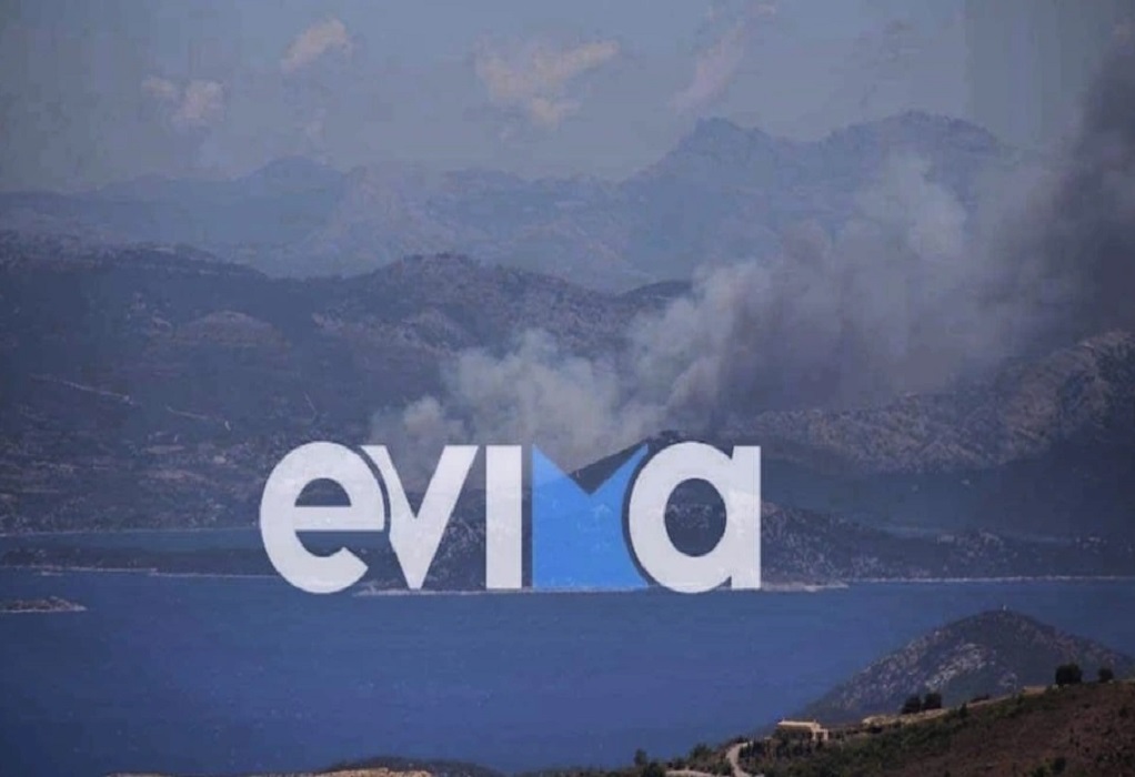 Εύβοια: Φωτιά στα Στύρα – Εντολή 112 για εκκένωση οικισμού