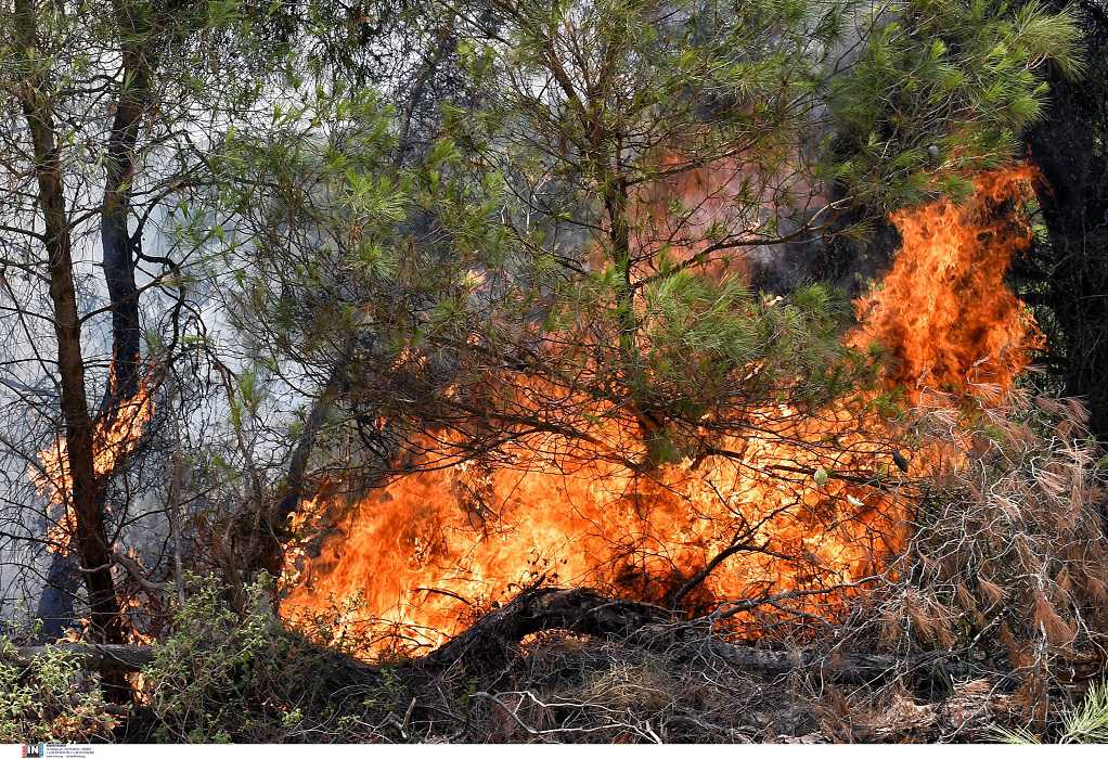 Μεγάλη πυρκαγιά σε δασική έκταση στην Ρόδο