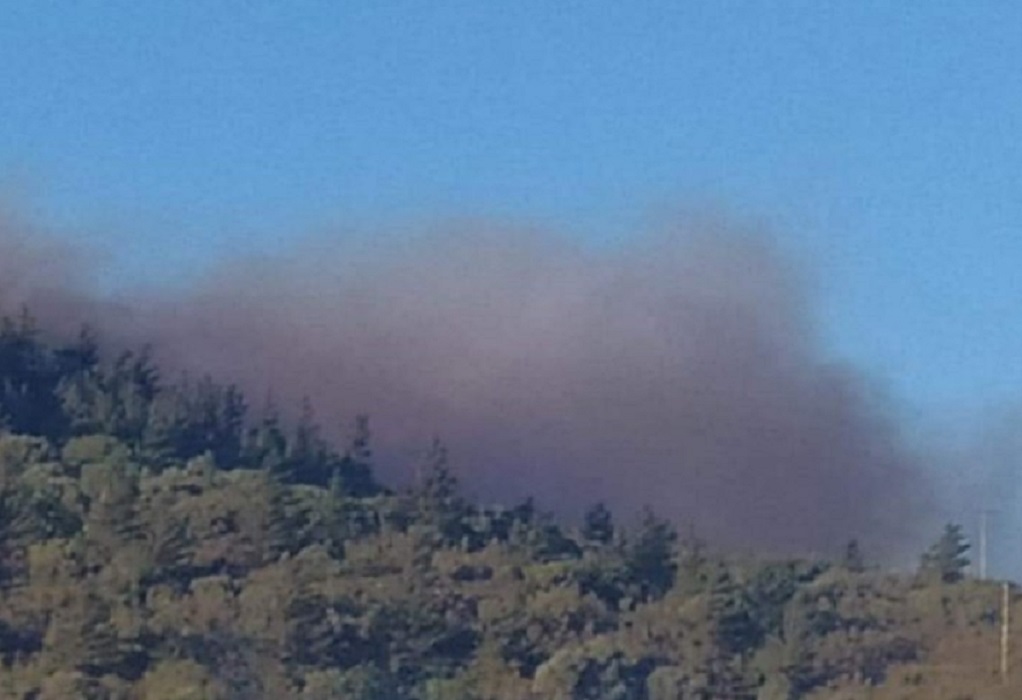 Πυρκαγιά στη Χίο – Εκκενώθηκαν δύο χωριά (VIDEO)
