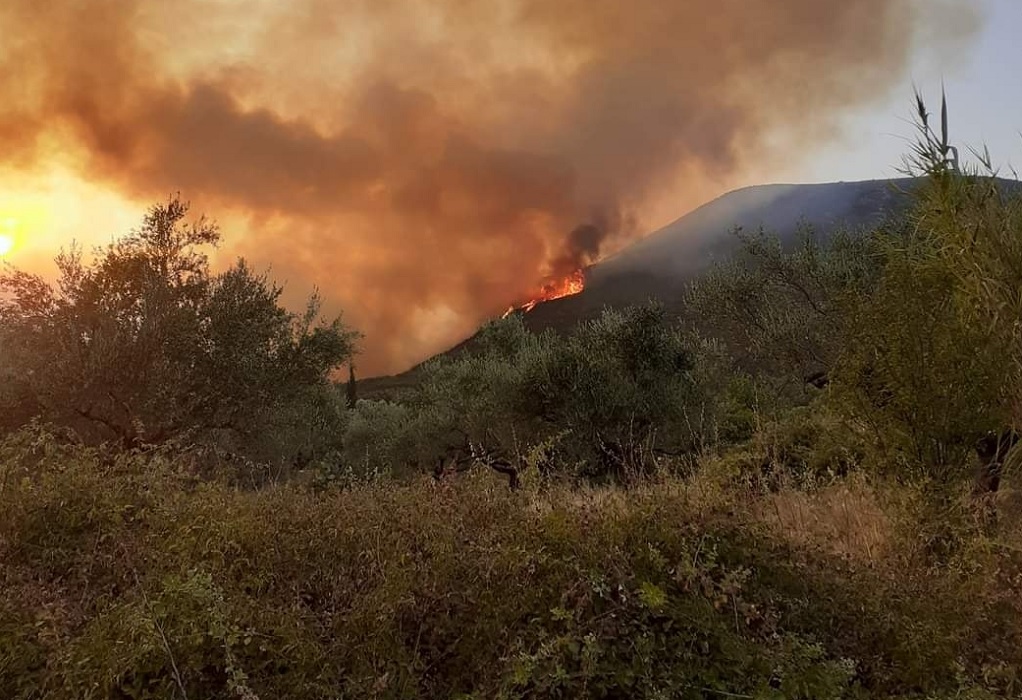 Πυρκαγιές στην Ελλάδα: Μάχη με τις φλόγες σε Εύβοια, Αρχαία Ολυμπία και Μεσσηνία